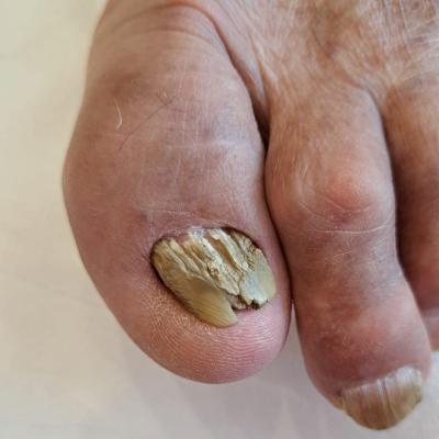 Fb Img 1741201752680