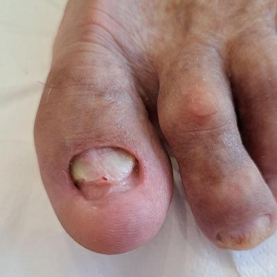 Fb Img 1741201761788